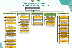 STRUKTUR ORGANISASI PUSKESMAS COLOMADU 1
